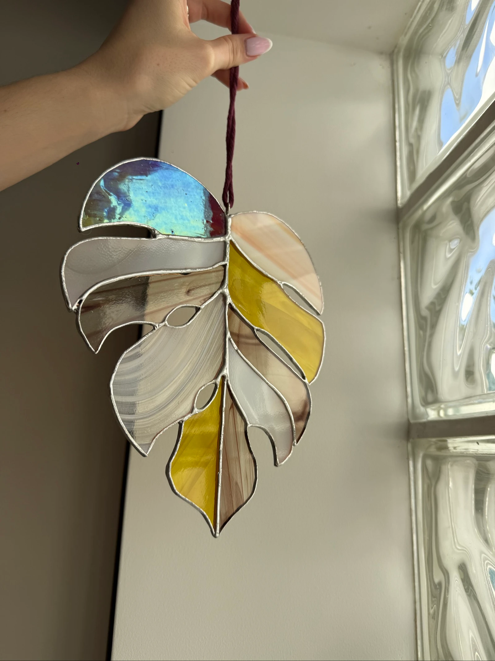 Feuille monstrea  – photo 3